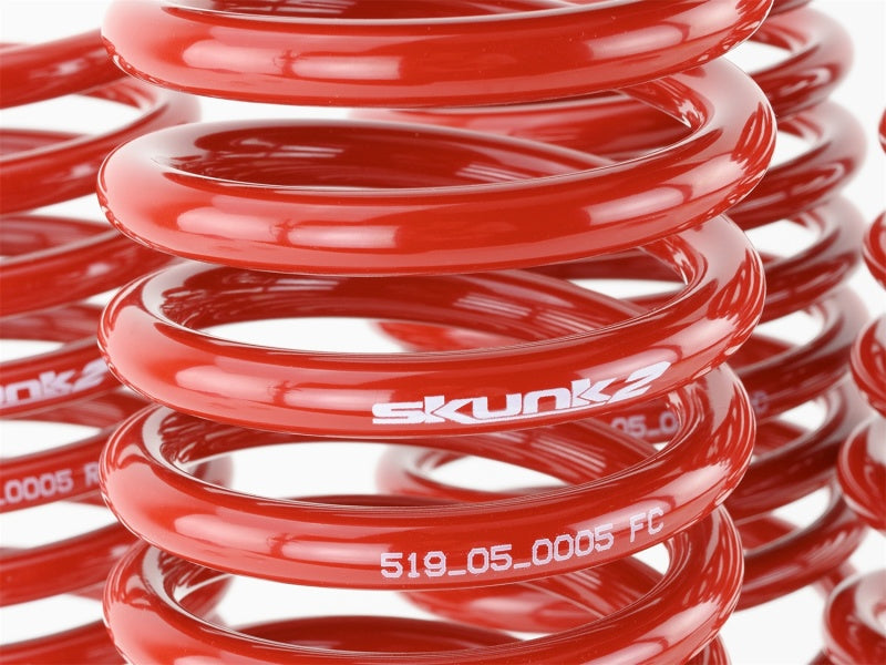 Skunk2 96-00 Honda Civic Lowering Springs (2.50in - 2.25in.) (Set of 4)